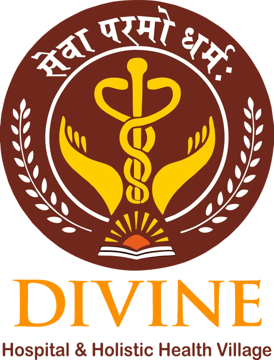 Divine Hospital & Holistic Health Village logo